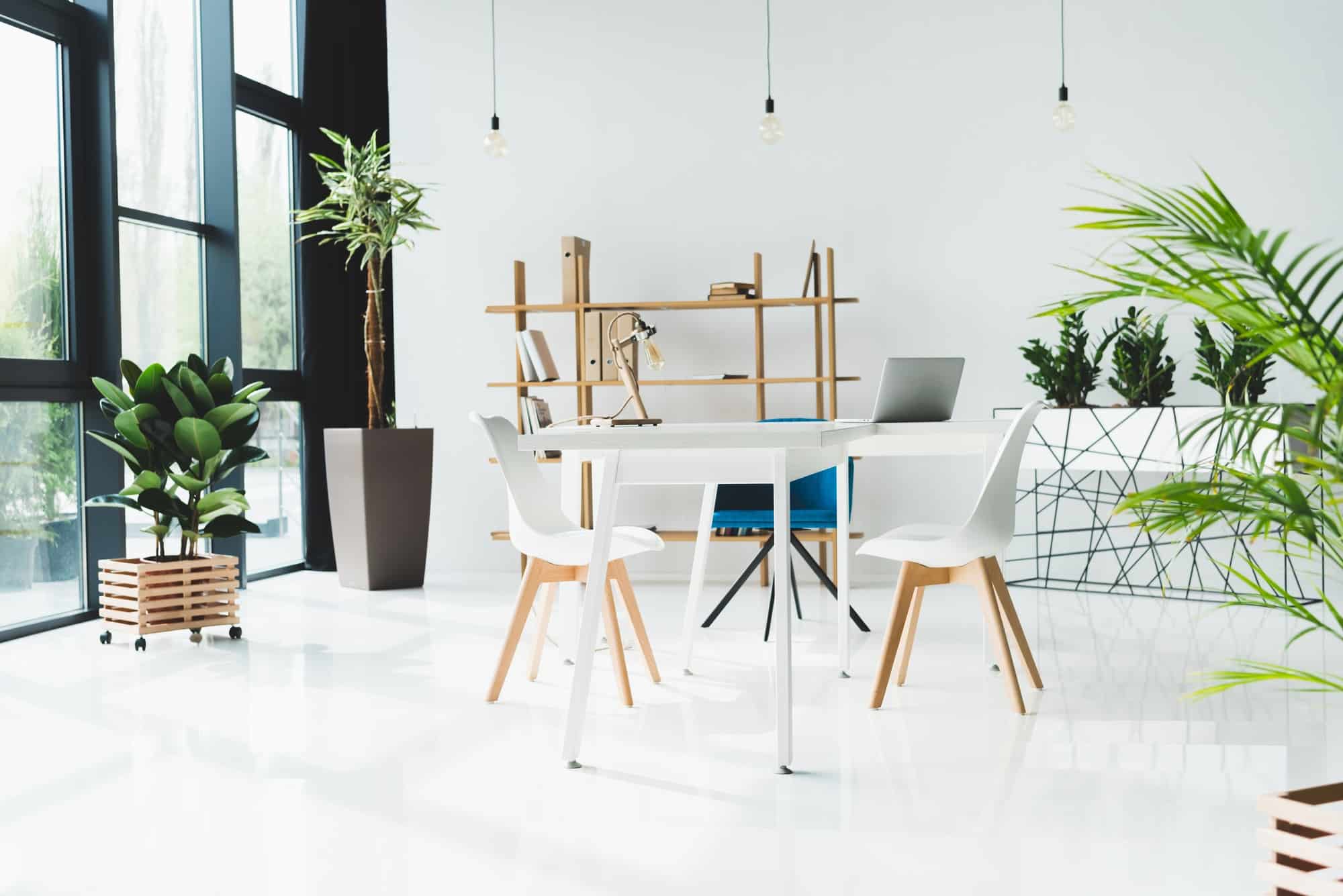 interior of modern office space